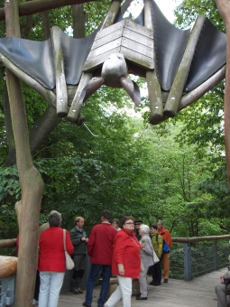 Führung auf dem Baumkronenpfad