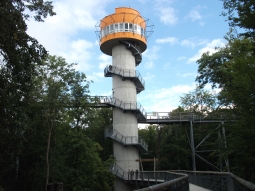 Aussichtsturm auf dem Baumkronenpfad