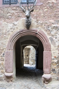 Rundgang auf Burg Falkenstein